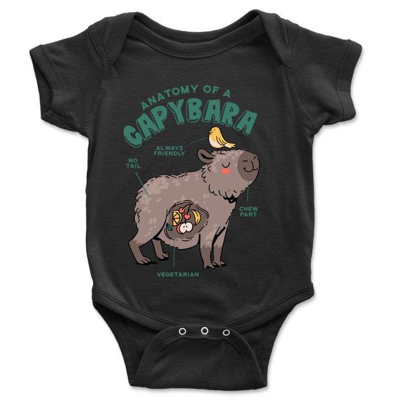 Baba body Anatomy of Capybara