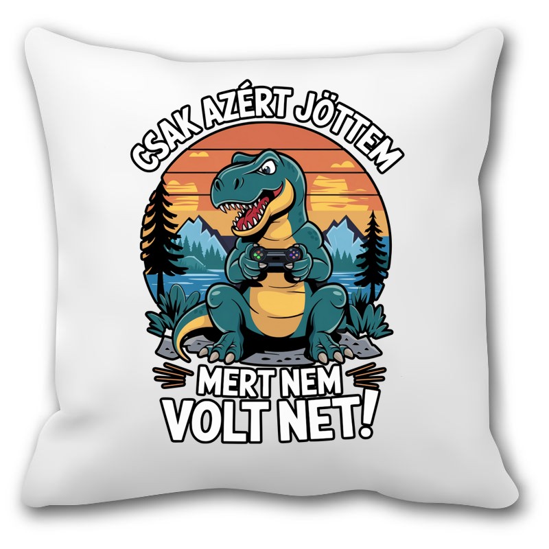 Párna Csak azért jöttem mert nem volt net