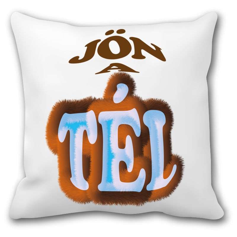 Párna Jön a (szőrös) tél