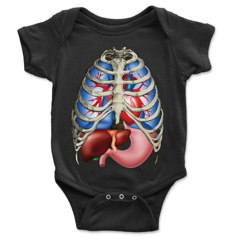 Baba body Anatómia