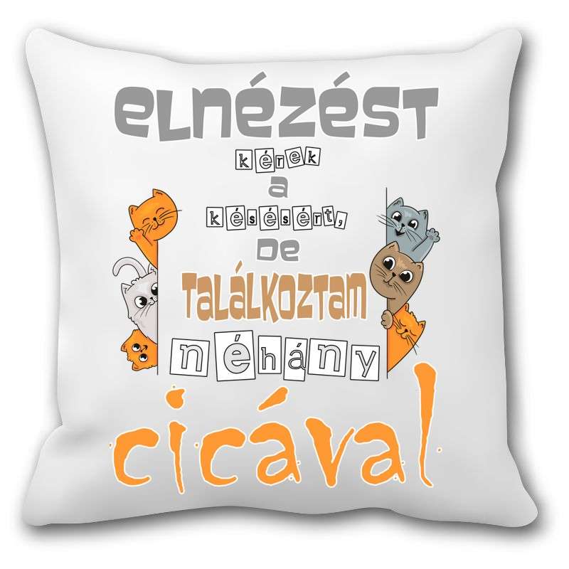 Párna Elnézést a késésért de találkoztam néhány cicával 221217 001