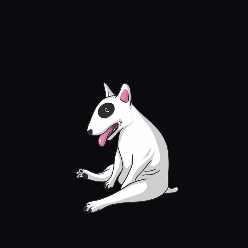 Bullterrier kutya