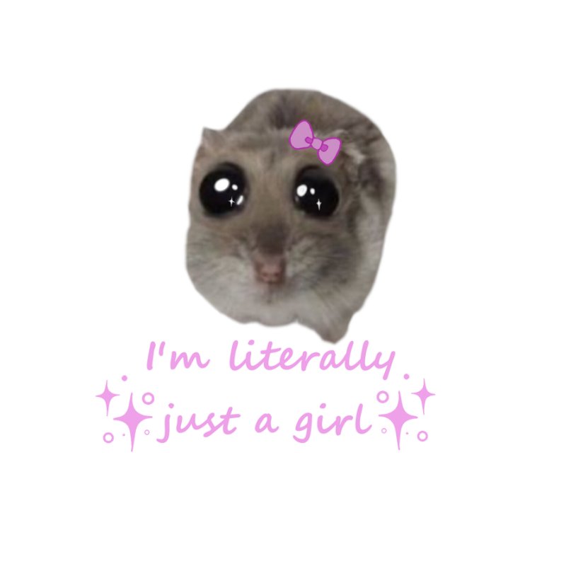 Tiktok hörcsög meme