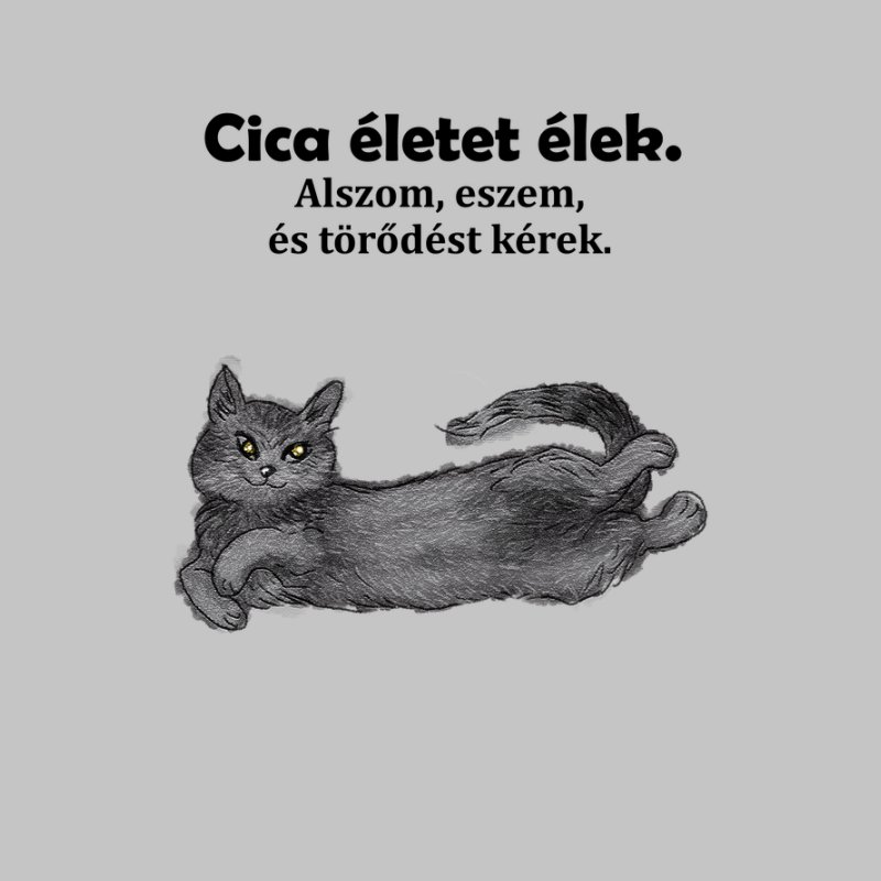 Cica élet