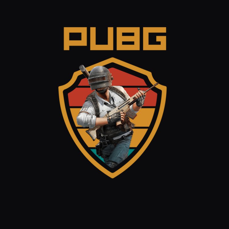 pubg shield