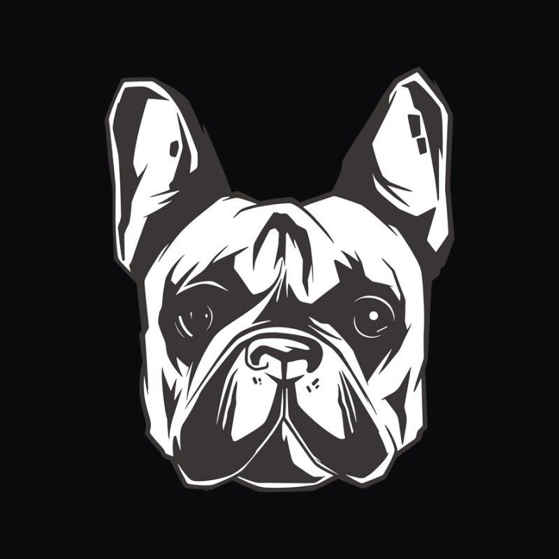 Frenchbulldog