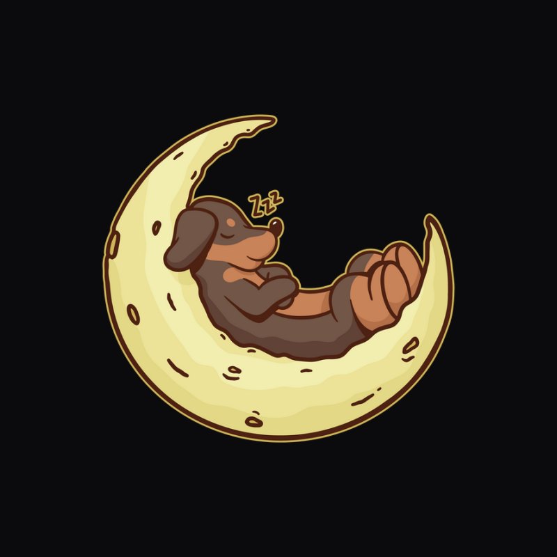 Daschund Moon