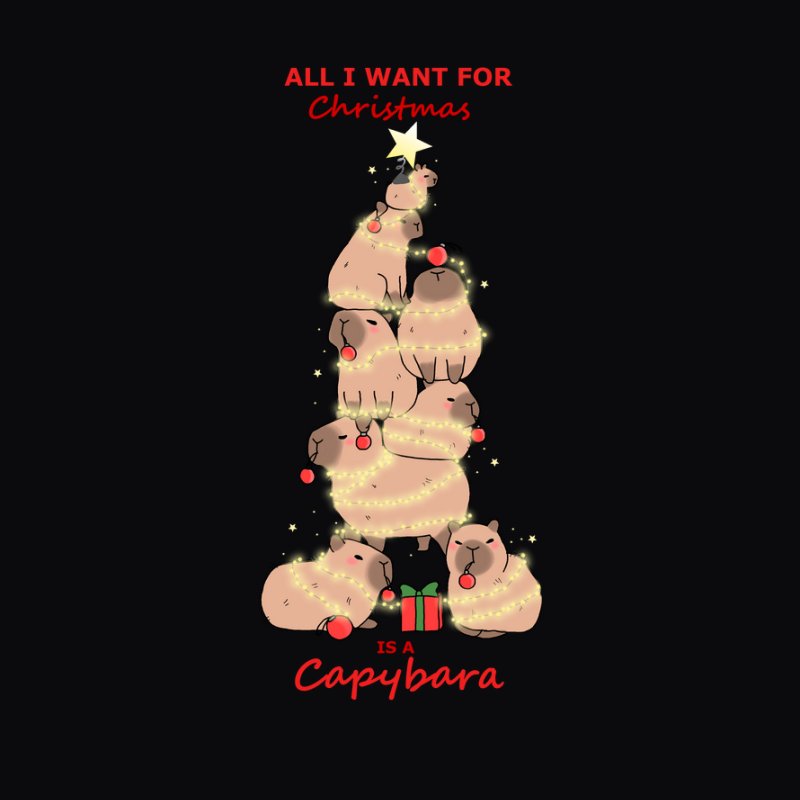 All i want for christmas...