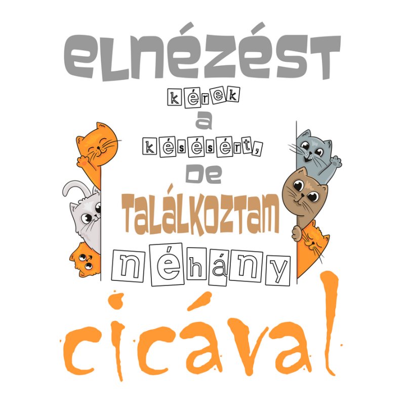 Elnézést a késésért de találkoztam néhány cicával 221217 001