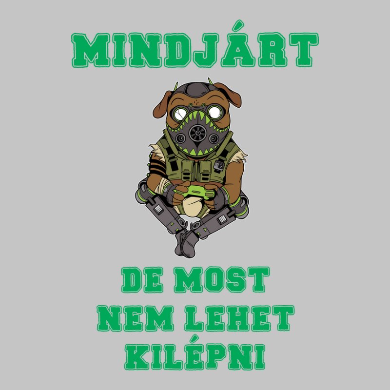 MINDJÁRT DE MOST NEM LEHET KILÉPNI