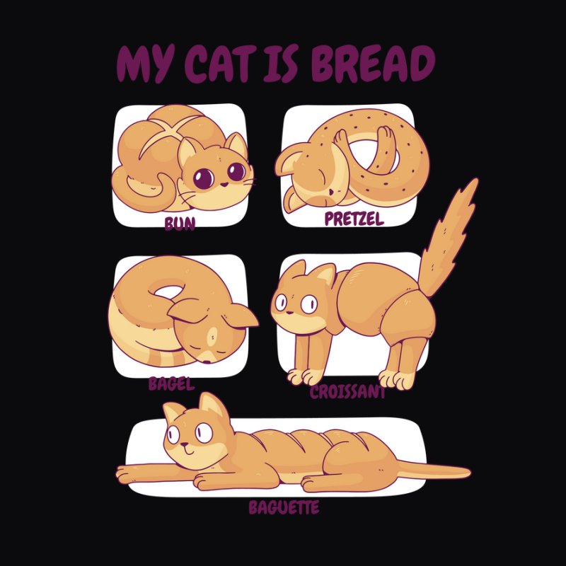 Cat Bread