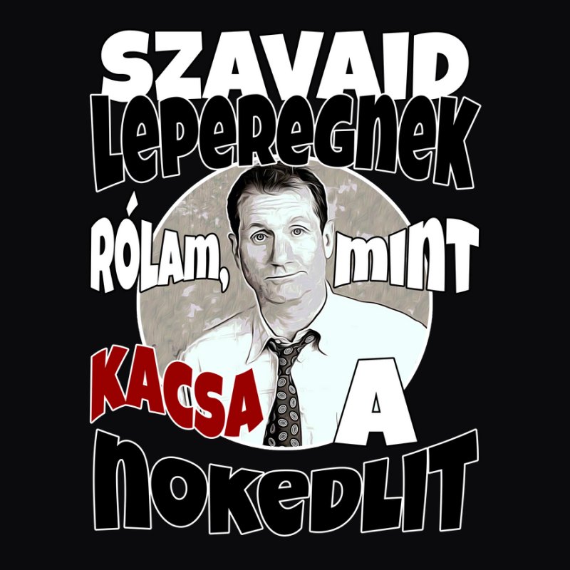 Szavaid leperegnek rólam, mint kacsa a nokedlit 221217 005
