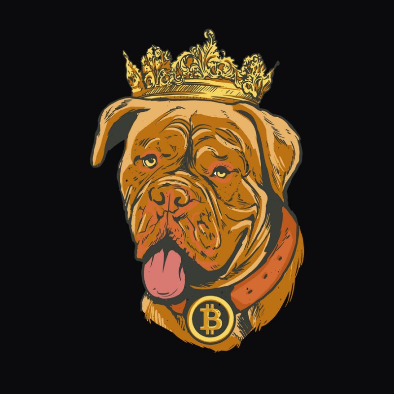 Bitcoin Dog Crown