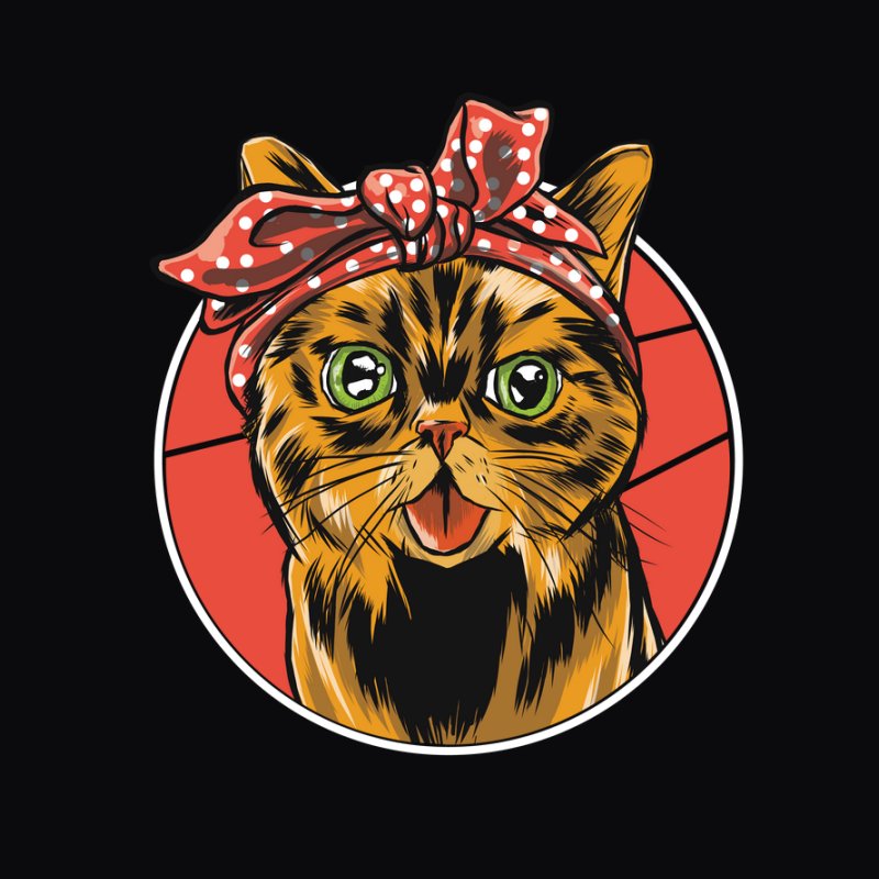 Bandana Cat