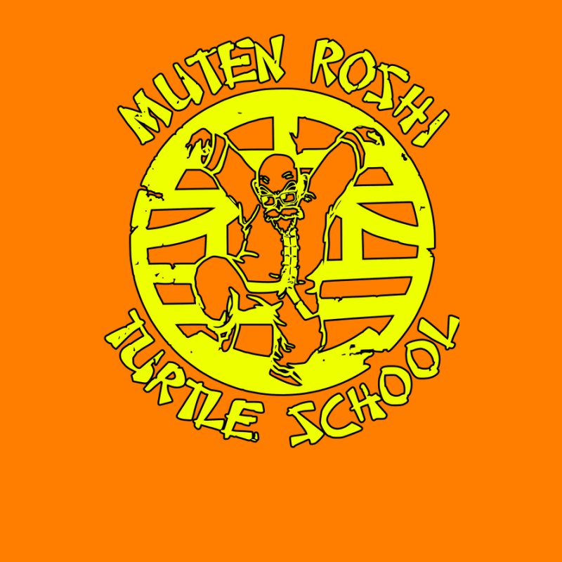 Roshi turtle school