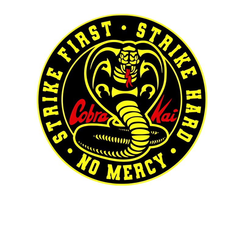 No mercy cobra kai