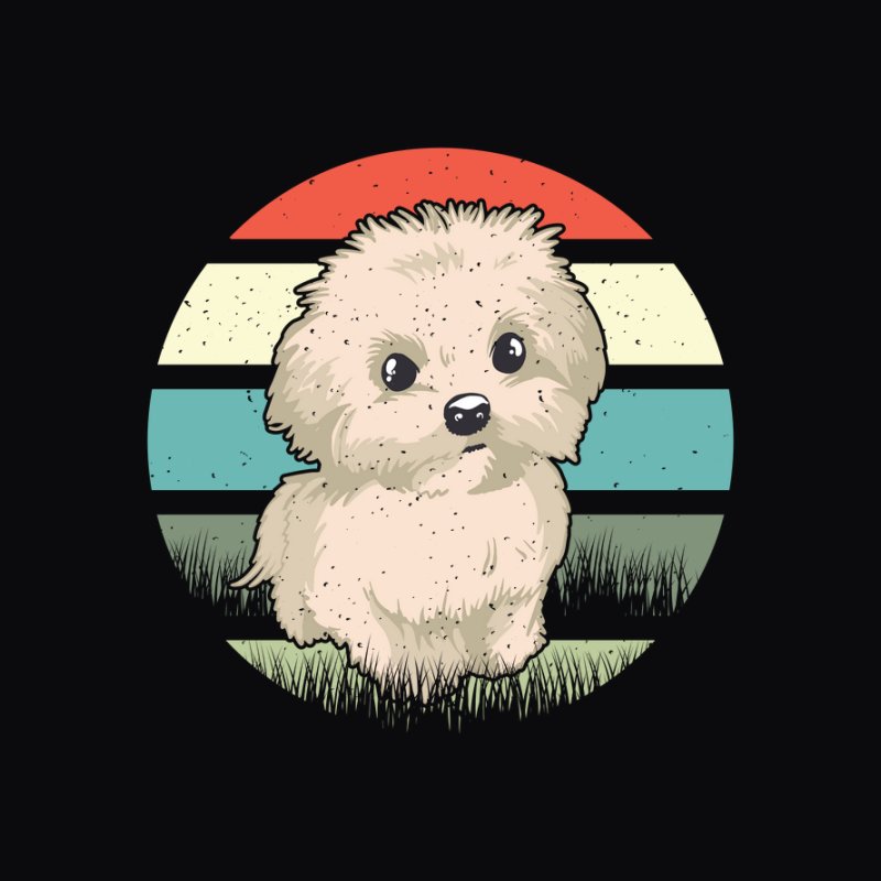 Maltese Dog Cute