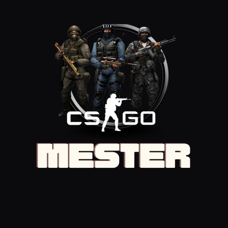 CS GO MESTER