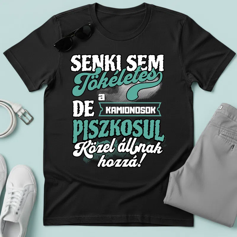 SENKI SEM TÖKÉLETES DE A_AZ KAMIONOSOK ÁTKOZOTTUL KÖZEL ÁLLNAK HOZZÁ Foglalkozások - Férfi póló - Fekete - Foglalkozások - Sofőr