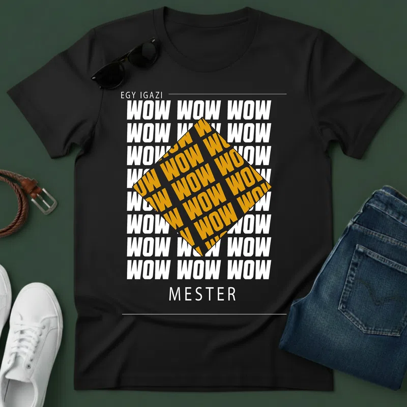 Egy igazi WOW mester Vicces - Férfi póló - Fekete - Vicces - Meme