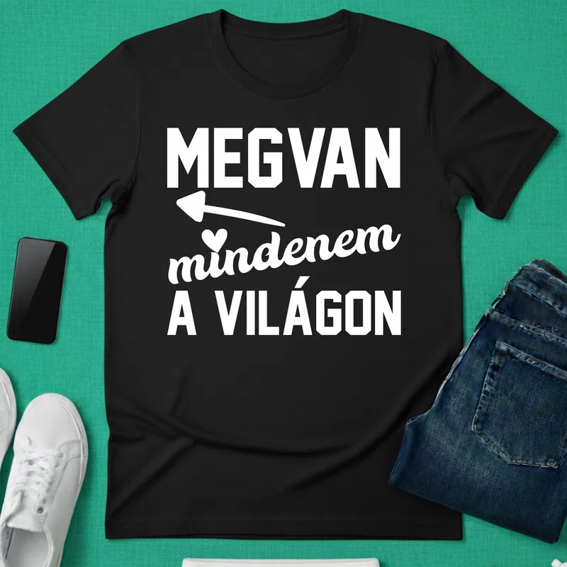 Megvan mindenem a világon Valentin napra - Férfi póló - Fekete - Ünnepek - Valentin napra